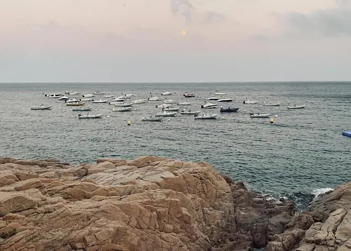 Precioso Duplex En Cala Salionc Tossa De Mar